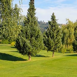 Fraserglen Golf Course