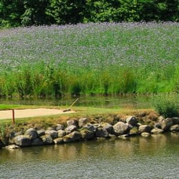 Golfclub Gut Waldshagen