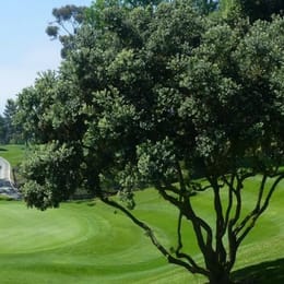 La Jolla Country Club