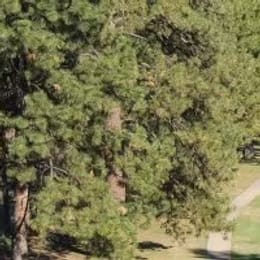 Pine Mountain Lake Golf Course