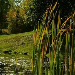 Squire Green Golf & Country Club