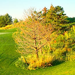 BraeBen Golf Course (Academy)