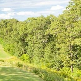 Christmas Mountain Village (Oaks)