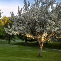 Crystal Springs Golf Course (Par 3)
