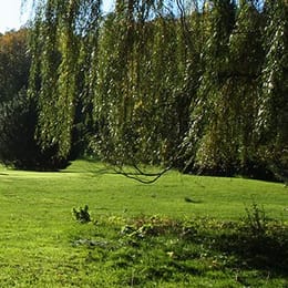 Hansen Park Golf Course