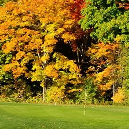 Quig's Maplewood Golf Course