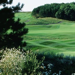 Wild Ridge Golf Course