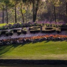 Innisbrook Resort (Copperhead)