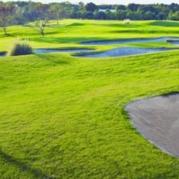 Innisbrook Resort (South)