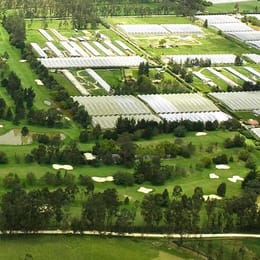 UMB Golf Club - Universidad Manuela Beltrán