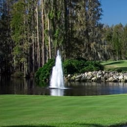 Saddlebrook Resort (Palmer)