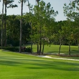 Saddlebrook Resort (Saddlebrook)