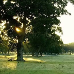 Max Starcke Park Golf Course