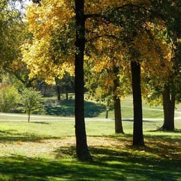 Falconhead Resort & Country Club