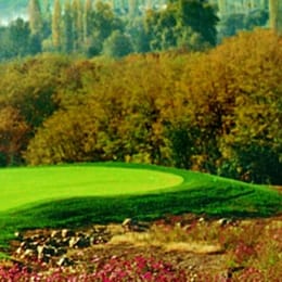 Royal Springs Golf Course