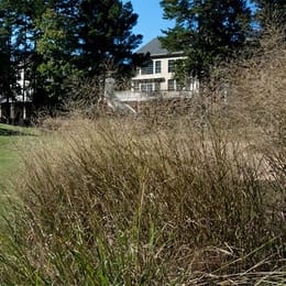 Brier Creek Country Club