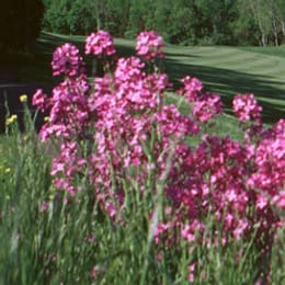 Stanton Ridge Golf & Country Club