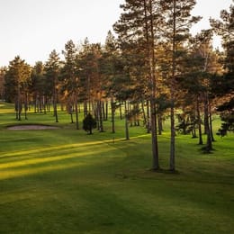 Niitvälja Golf (Par20)
