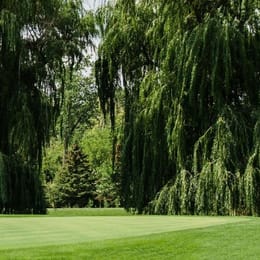 Winnetka Golf Club