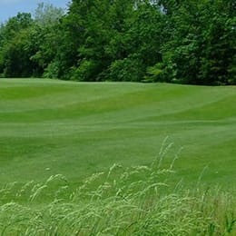 Black Brook Golf Course