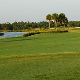 Stonegate Golf Club (The Oaks)