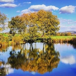 Golfclub Hofgut Praforst (Westkurs)