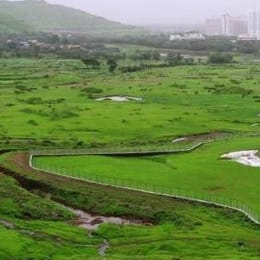 Kharghar Valley Golf Course