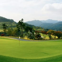 Golfzon County Ansung H