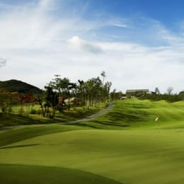 Golfzon County Ansung W