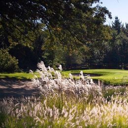 Pine Meadow Golf Club