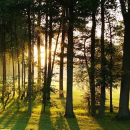 Brasschaat Open Golf & Country Club (Junior)