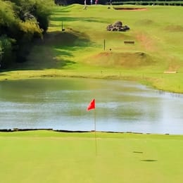 Camellias Golf Campos De Té