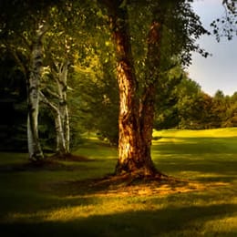 Sawmill Creek Golf Club