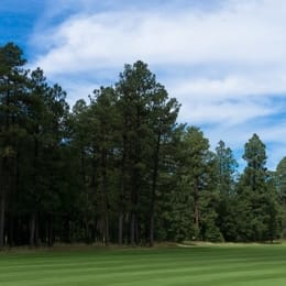 White Mountain Country Club