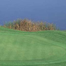 Bristow Manor Golf Club