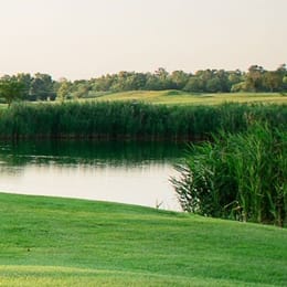 The Meadows Golf Club of Blue Island