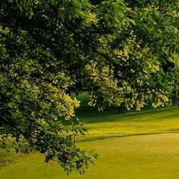 White Pines Golf Club (East)