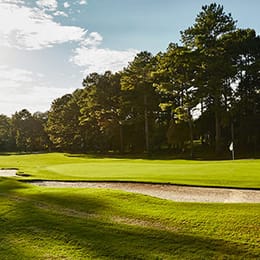 Canongate 1 Golf Club (Lee)