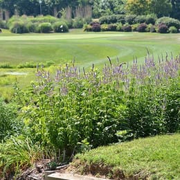 Eagle Springs Golf Course (Executive)