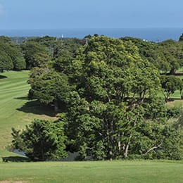 Katsuura Tokyu Golf Course