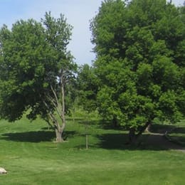 Emerald Greens Golf Course (Gold)