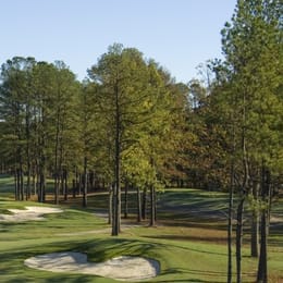 Dogwood Trace Golf Course