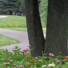 Juday Creek Golf Course