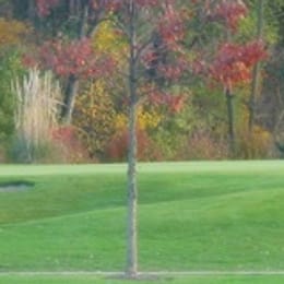 River Glen Country Club