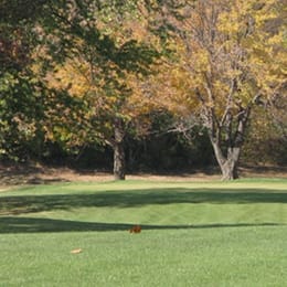 South Grove Golf Course