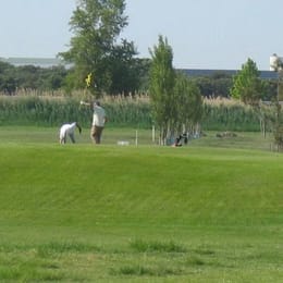 Golf de Saint Martin de Crau