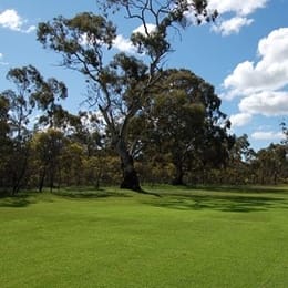 Murtoa Golf Club