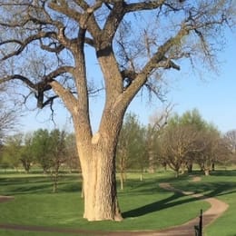 Dodge Riverside Golf Club