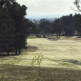 Denman Golf Club