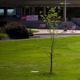 Veterans Memorial Park Golf Course